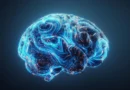 Scientists discover how the brain rewires itself to truly multitask