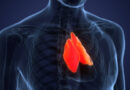 Forgotten immune organ in chest may predict how long you live