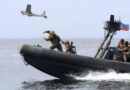 On South China Sea, government backs tribunal ruling against Beijing