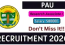 PAU Research Associate I Recruitment 2026 – Apply Offline