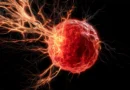 Scientists uncover the hidden nerve network fueling breast cancer