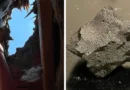 Meteorite that smashed through a New Jersey roof reveals clues to life’s origins