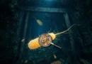 Scientists discover bacteria that lock toxic uranium into a stable form