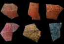 60,000-year-old ostrich eggshell engravings reveal a surprisingly sophisticated human mind