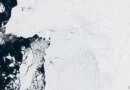 Hundreds of hidden earthquakes found at Antarctica’s Doomsday Glacier