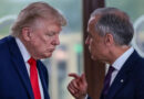 Trump vs Carney: Cars, homes, booze and more caught in US-Canada tariff war