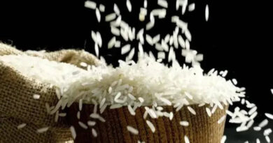 India's rice bowl gets global audience as 3,317 buyers sign up for BIRC 2026