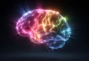 HEPA air purifiers may boost brain function after just one month