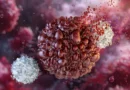A protein older than blood circulation could transform cancer immunotherapy