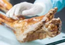 Scientists find unexpected life on Ötzi the Iceman’s 5,300-year-old body