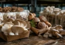How Small-Scale Specialty Farmers Are Using AI Image Tools to Market Farm Products Online Without a Photography Budget