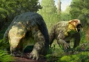 A 240-million-year-old fossil just changed the dinosaur timeline