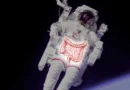 Blood tests reveal why astronauts get constipated in space