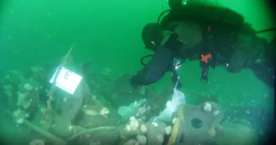 This German submarine sank in 1917. It’s still leaking TNT