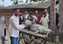 Nepal floods bring 'unusual' fish to Bihar, govt warns people not to eat or sell them