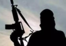 Security forces launch joint op in Udhampur after suspicious movement input