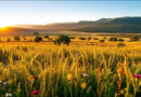 South Africa launches major plan to restore 100,000 hectares by 2030