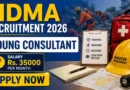 NDMA Young Consultant Recruitment 2026 – Apply Online