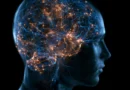 Scientists discover a major brain shift between ages 50 and 75
