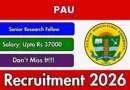 PAU Senior Research Fellow Recruitment 2026 – Apply Offline