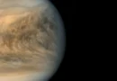 Venus’s pale yellow clouds may hide something surprisingly dark