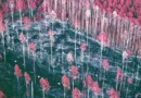 A forgotten 30-year forest experiment just delivered a huge surprise