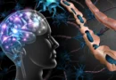 Brain cells meant to protect us may be fueling cognitive decline