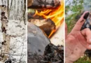 Neanderthals may have used prehistoric glue as an ancient antibiotic