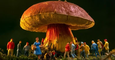 This mysterious mushroom makes people see hundreds of tiny humans