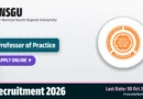 VNSGU Professor of Practice Recruitment 2026 – Apply Online